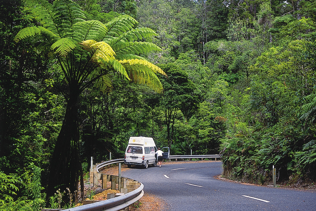 North Island Self Drive Holiday Packages - 1 week in New Zealand
