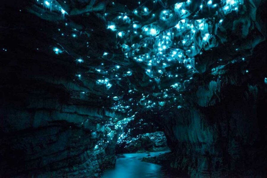 glow worm caves new zealand - 1 week in New Zealand