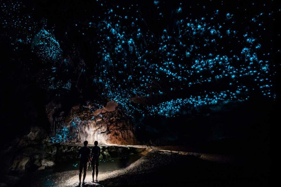 waitomo glowworm caves - things to do in the North Island 