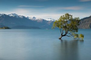 wanaka tree holiday packages New Zealand
